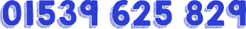 01539 625 829